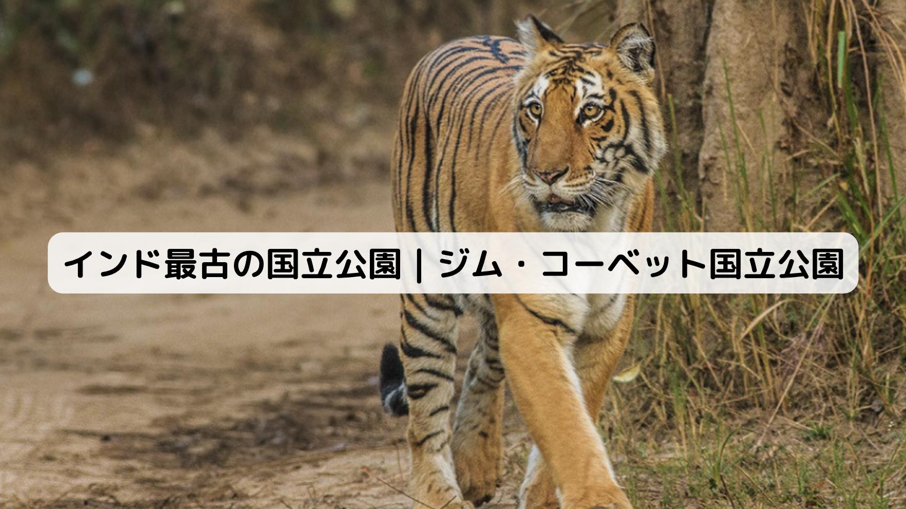 インドの最古の国立公園