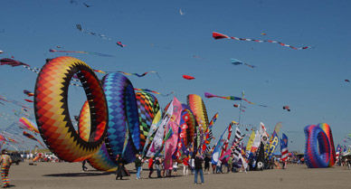 Kites